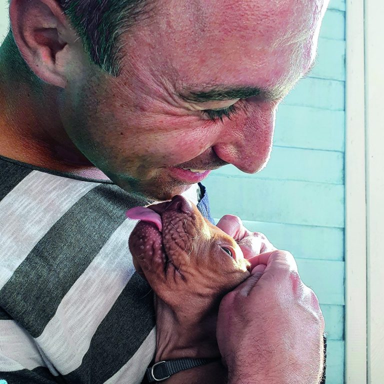 Rennradbücher Radsportbücher