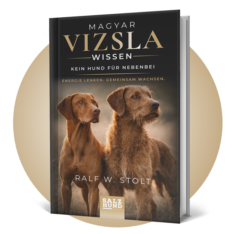 Magyar Vizsla Wissen