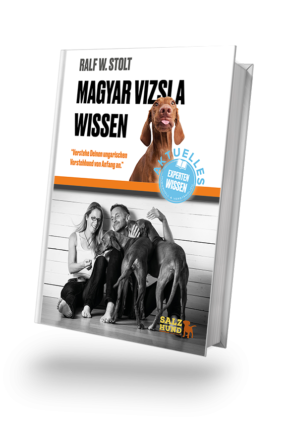 Magyar Vizsla Wissen