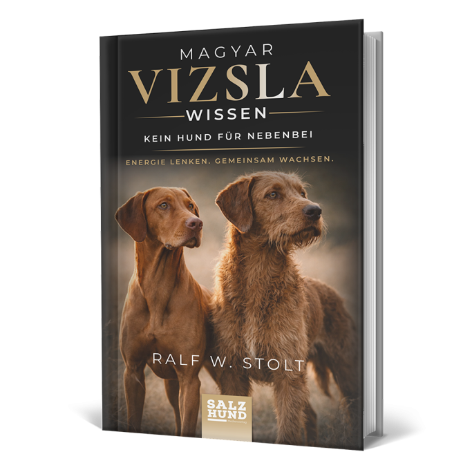 Magyar Vizsla Wissen Neufassung